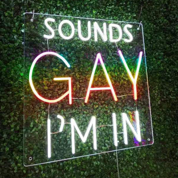 Sounds Gay I'm In - Rainbow Pride Neon Sign